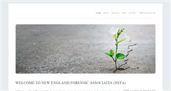 Desktop Screenshot of nefacorp.com